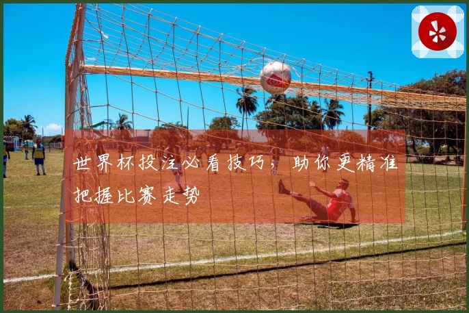 世界杯投注必看技巧，助你更精准把握比赛走势