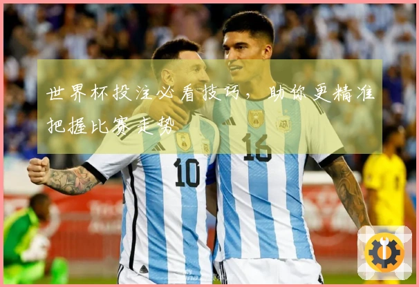世界杯投注必看技巧，助你更精准把握比赛走势