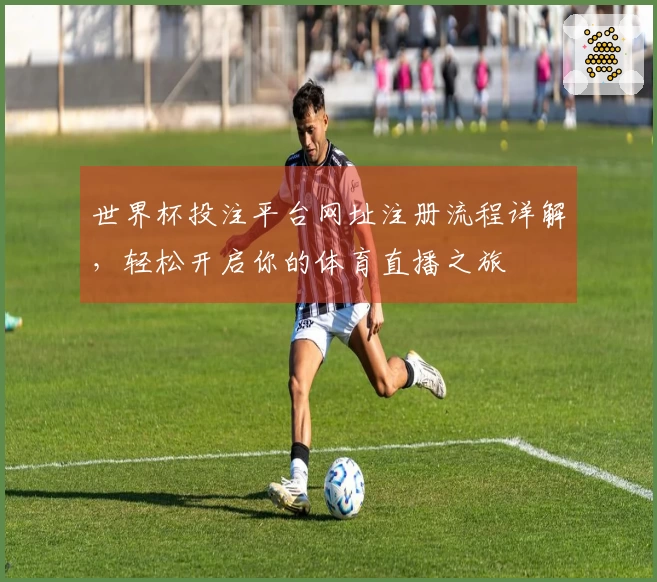 世界杯投注平台网址注册流程详解，轻松开启你的体育直播之旅