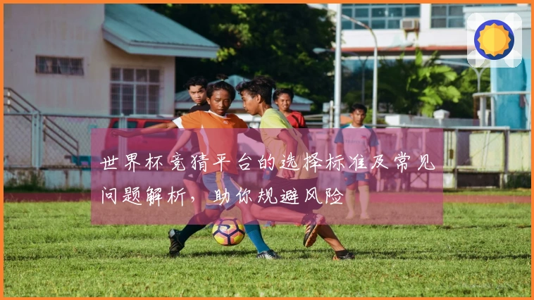 世界杯竞猜平台的选择标准及常见问题解析，助你规避风险