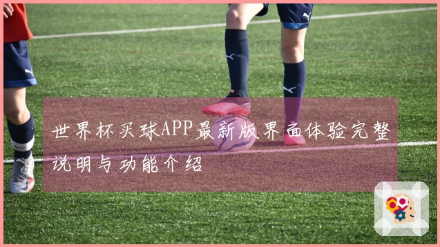 世界杯买球APP最新版界面体验完整说明与功能介绍