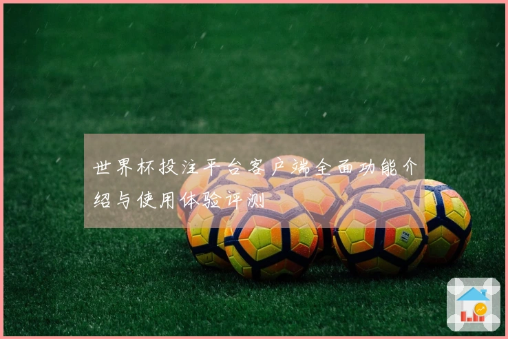 世界杯投注平台客户端全面功能介绍与使用体验评测