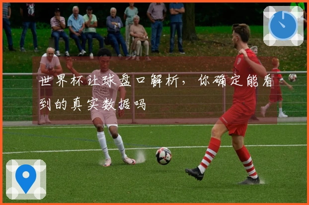 世界杯让球盘口解析，你确定能看到的真实数据吗
