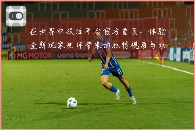在世界杯投注平台官方首页，体验全新玩家测评带来的独特视角与功能介绍