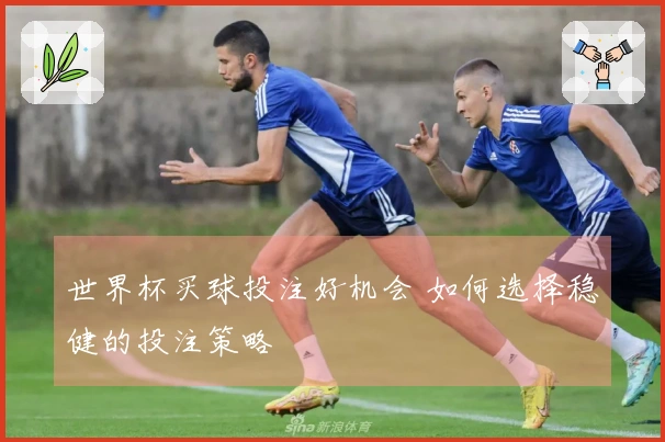 世界杯买球投注好机会 如何选择稳健的投注策略