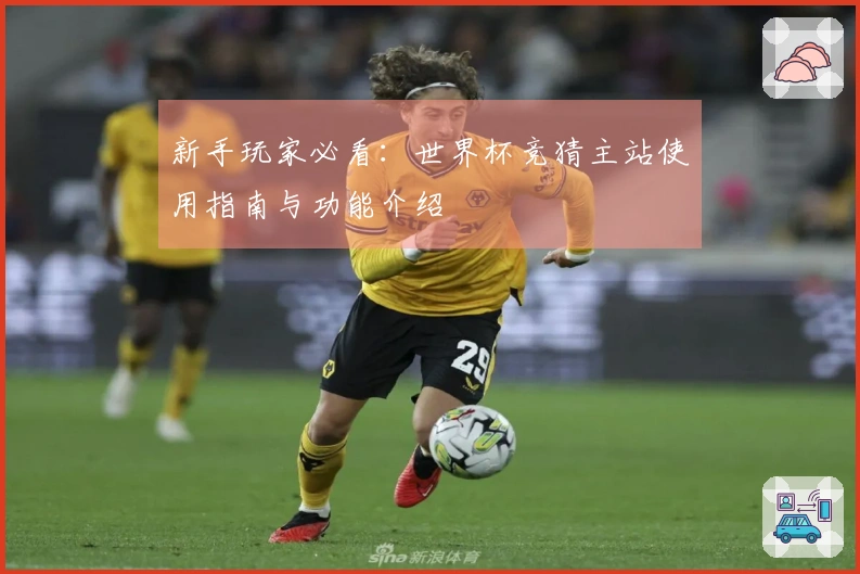 新手玩家必看：世界杯竞猜主站使用指南与功能介绍