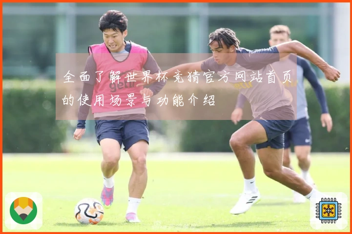 全面了解世界杯竞猜官方网站首页的使用场景与功能介绍