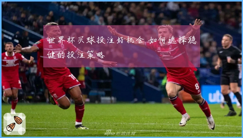 世界杯买球投注好机会 如何选择稳健的投注策略
