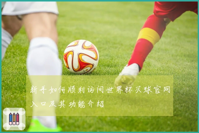 新手如何顺利访问世界杯买球官网入口及其功能介绍