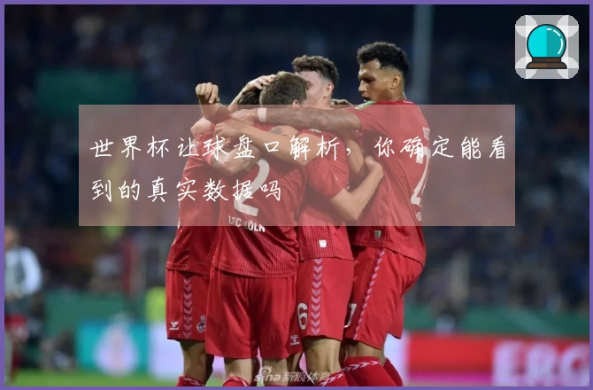 世界杯让球盘口解析，你确定能看到的真实数据吗