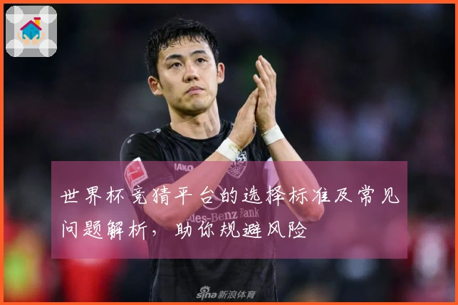 世界杯竞猜平台的选择标准及常见问题解析，助你规避风险
