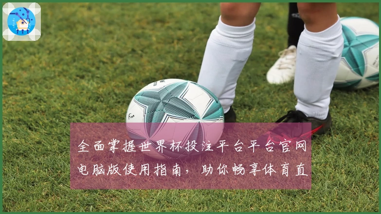 全面掌握世界杯投注平台平台官网电脑版使用指南，助你畅享体育直播新体验