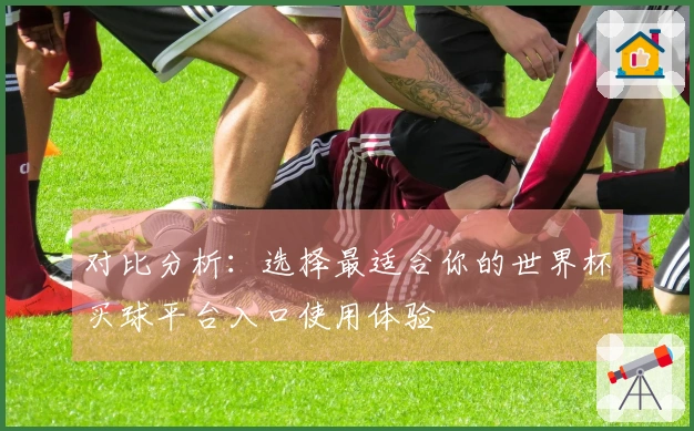 对比分析：选择最适合你的世界杯买球平台入口使用体验